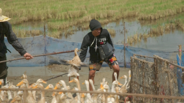 ▲'극한직업'(사진제공=EBS1)