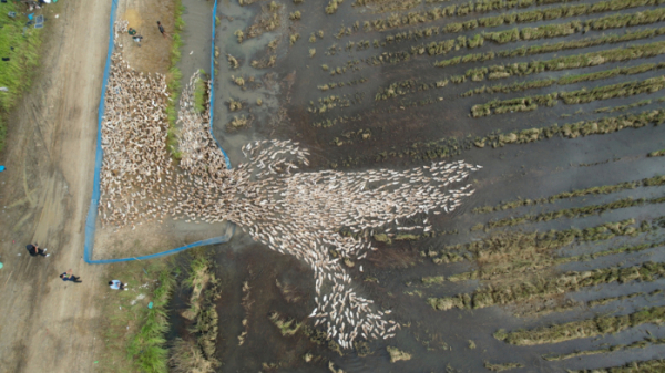 ▲'극한직업'(사진제공=EBS1)