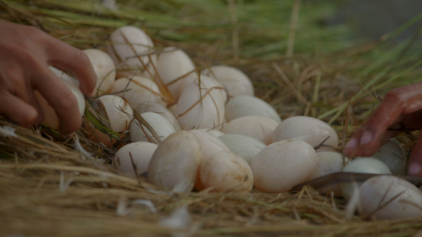 ▲'극한직업'(사진제공=EBS1)