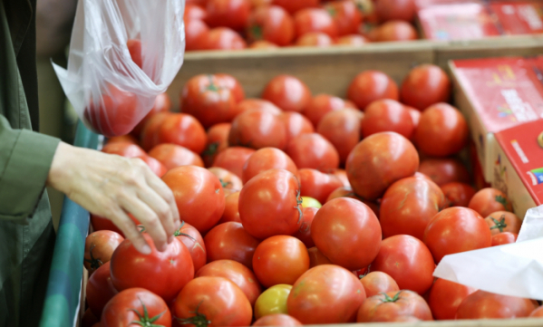 ▲서초구 농협 하나로마트 양재점에 진열된 토마토. (뉴시스)