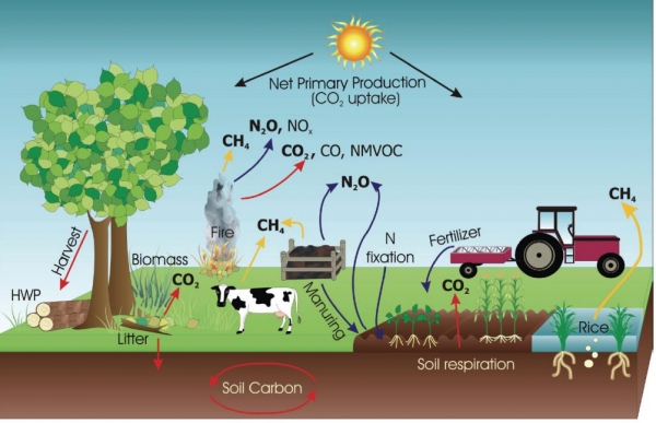 ▲농가에서 탄소가 발생하는 과정. 출처 유엔식량농업기구(FAO) 카본파밍 보고서
