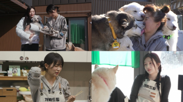 ▲'TV동물농장'(사진제공=SBS)