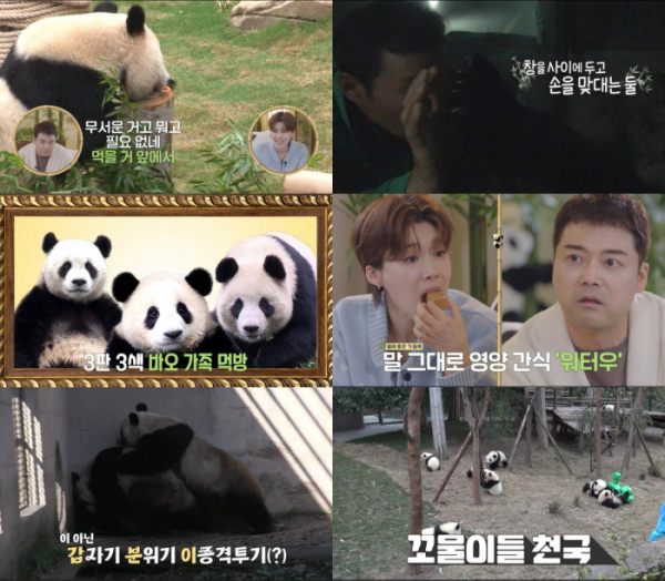 ▲'푸바오와 할부지'(사진제공=SBS)