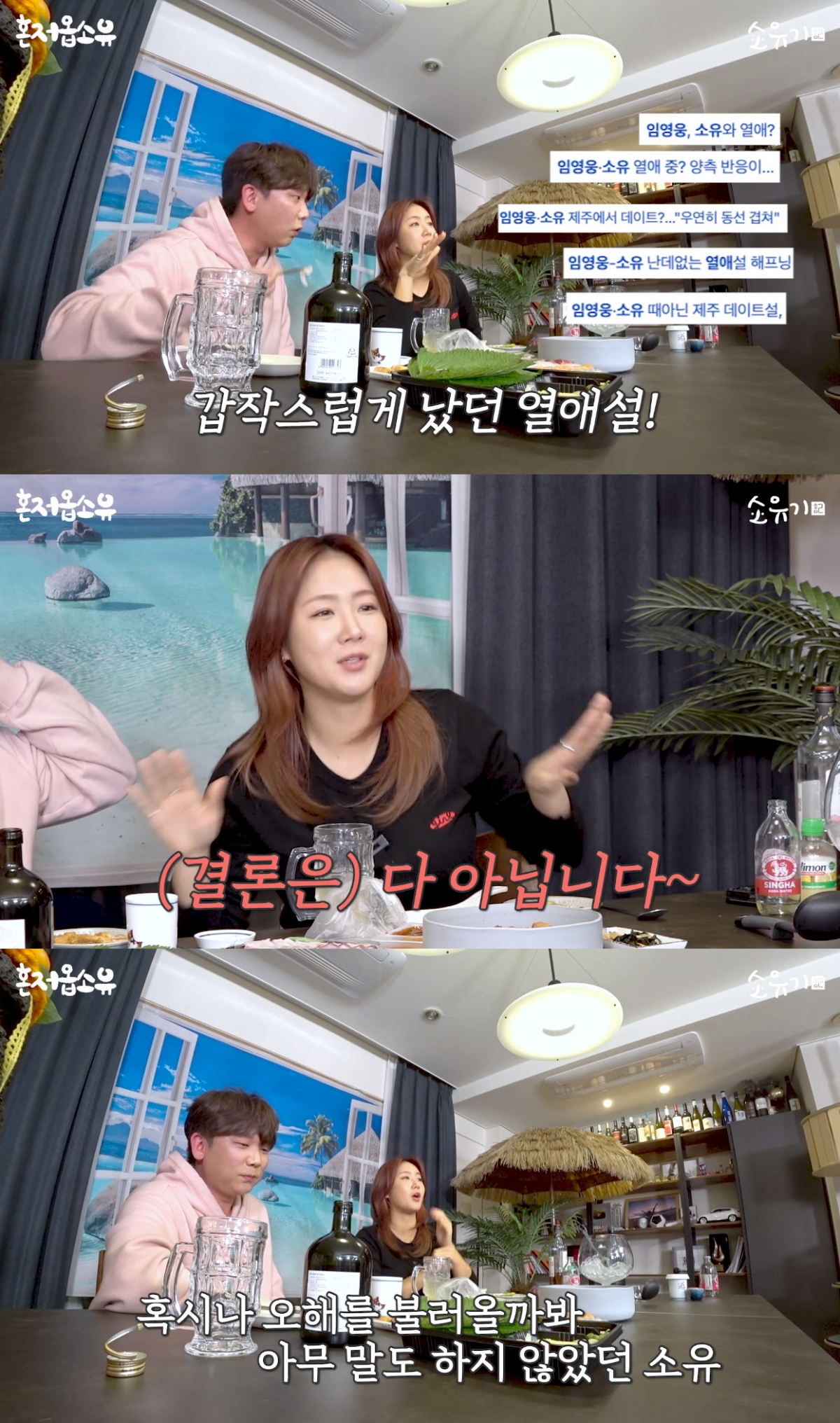 (출처=유튜브 채널 '소유기' 캡처)