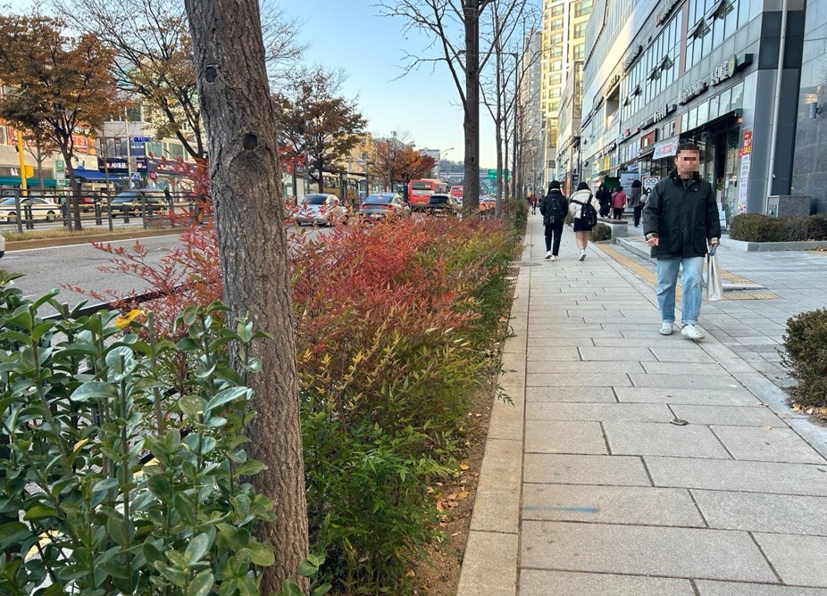 ▲서울 종로구가 관내 주요 가로변에 ‘정원형 녹지’를 만들었다. (자료제공=종로구)