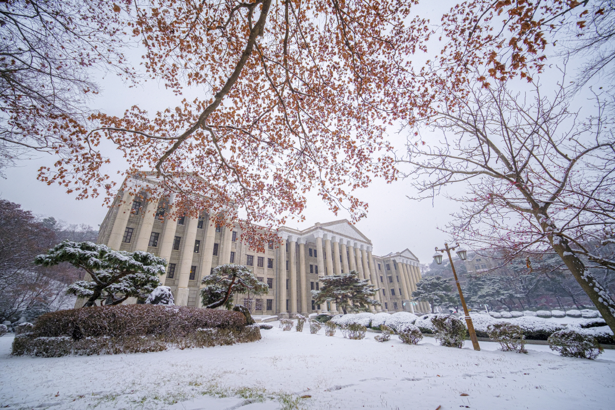 ▲경희대학교 전경
