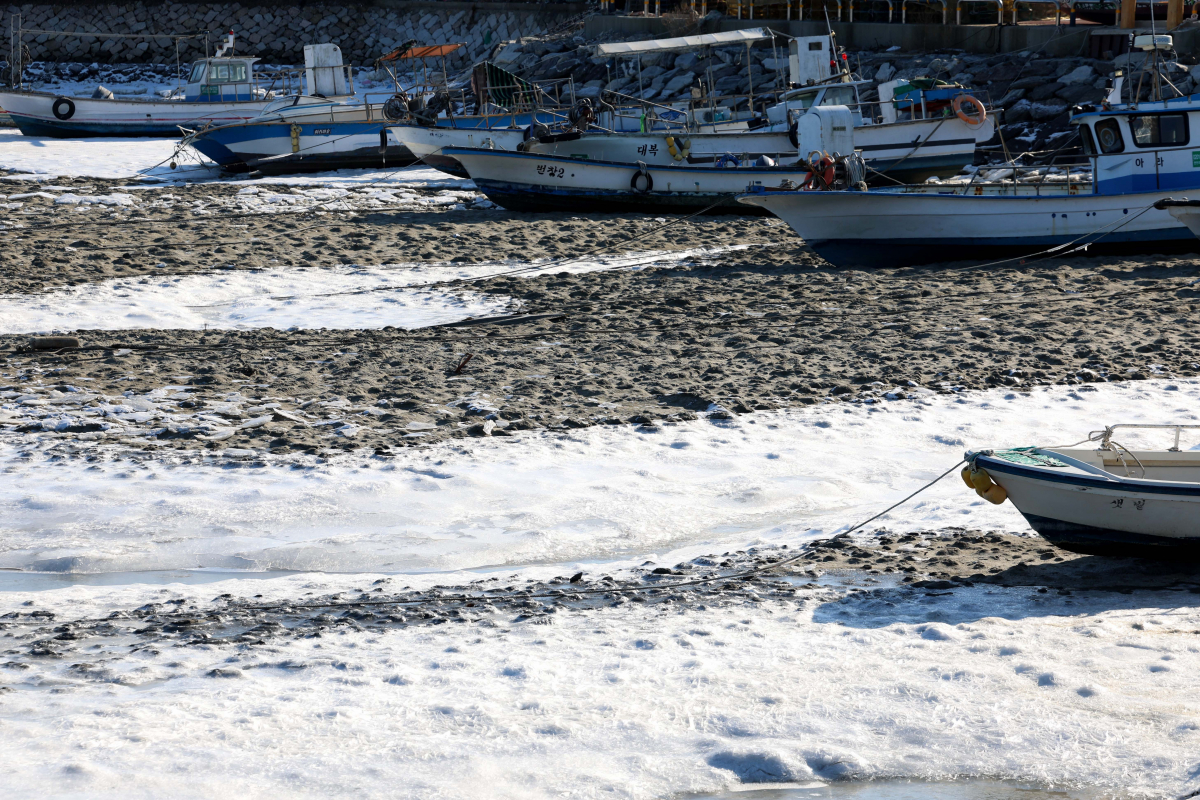 ▲절기상 동지(冬至)이자 전국 대부분지역에 한파특보가 발효되는 등 강추위가 계속된 22일 인천 중구 예단포 선착장 앞바다가 얼어있다. 신태현 기자 holjjak@