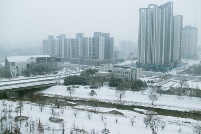 ▲크리스마스이브인 24일 오전 대전시 유성구 상대동·도안동 일대에 눈이 내리고 있다. (연합뉴스)