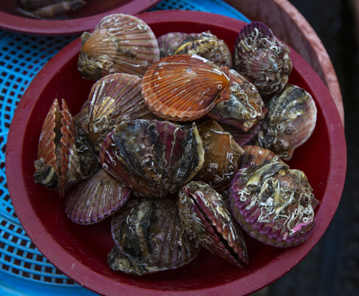 ▲(출처=게티이미지뱅크)