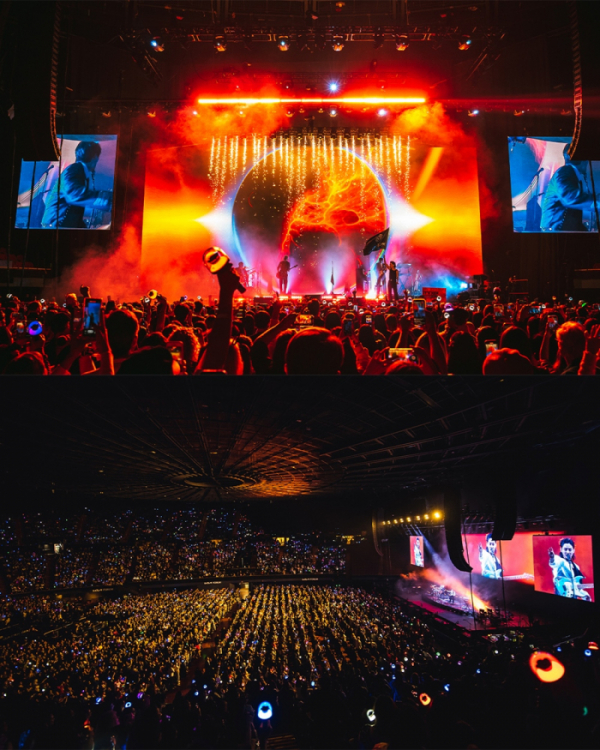 ▲더로즈(사진 = 트랜스페어런트 아츠 제공)