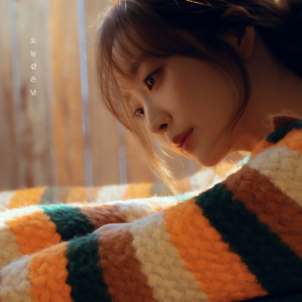 ▲펀치(사진 = 냠냠엔터테인먼트 제공)