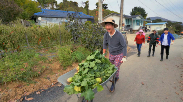 ▲'박원숙의같이삽시다'(사진제공=KBS 1TV)