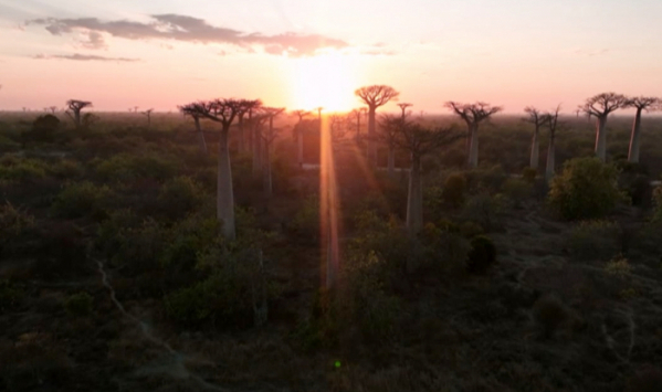 ▲'태어난김에 세계일주 시즌3'(사진제공=MBC)