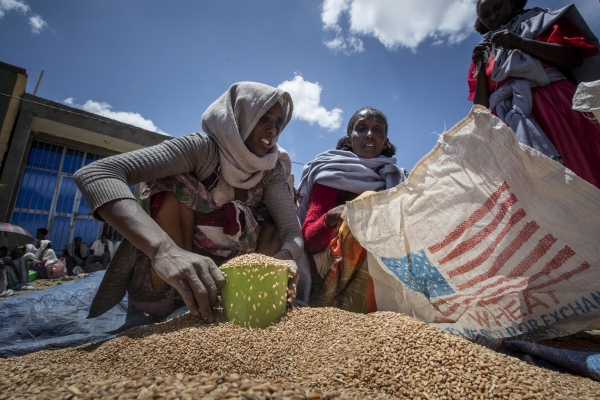 ▲에티오피아 티그라이에서 2021년 5월 8일 한 시민이 미국이 제공한 밀을 담고 있다. 티그라이(에티오피아)/AP뉴시스
