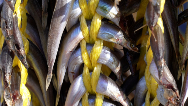 ▲'극한직업'(사진제공=EBS1)