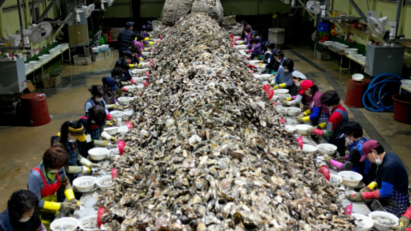 ▲'극한직업'(사진제공=EBS1)