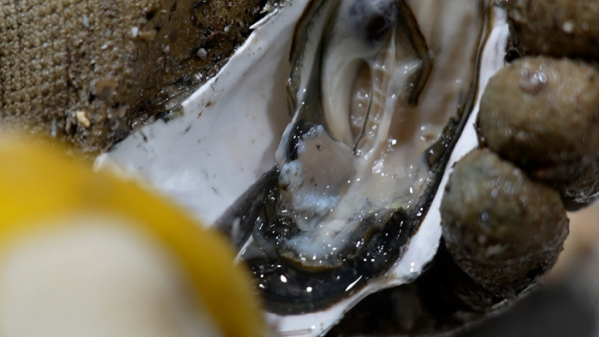 ▲'극한직업'(사진제공=EBS1)