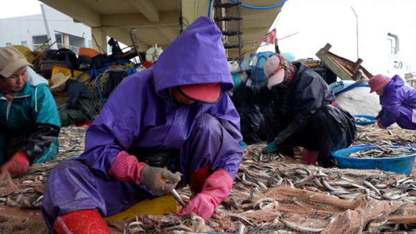 ▲'극한직업'(사진제공=EBS1)