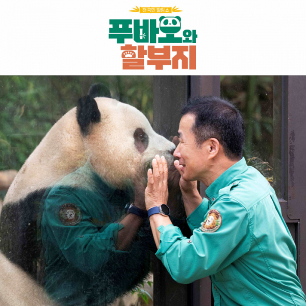 ▲'푸바오와 할부지' 스페셜(사진제공=SBS)
