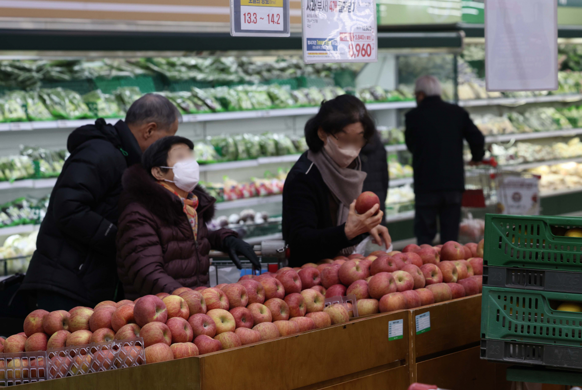 ▲정부가 16일 설 민생안정 대책을 발표, 고물가의 주범으로 지목된 농·축·수산물에 대해 840억원을 투입해 업계 자체 할인을 겹쳐 최대 60% 할인 혜택을 제공하기로 했다. 설 연휴 수요가 많은 사과와 배의 대형마트 정부 할인 지원율을 20%에서 30%로 높이고, 농협 과일 선물 세트 10만 개는 최대 20% 싸게 판매한다. 또 배추와 무 비축분 최대 4만5000톤을 방출하고 수입 신선란 112만 개를 공급하며, 수산물 할인지원율도 30%로 높일 계획이다. 이날 서울의 한 대형마트에서 시민들이 과일을 살펴보고 있다. 신태현 기자 holjjak@