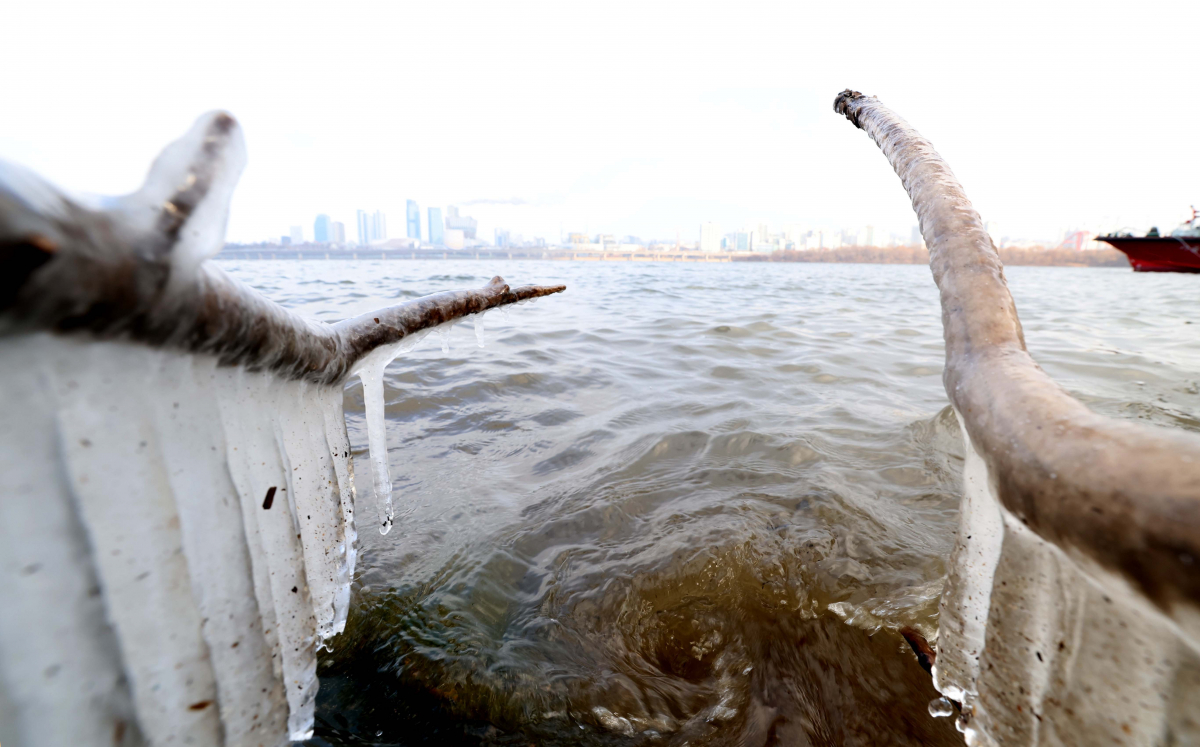 ▲수도권에 한파주의보가 내려진 22일 서울 여의도 한강공원에 고드름이 얼어 있다. 신태현 기자 holjjak@