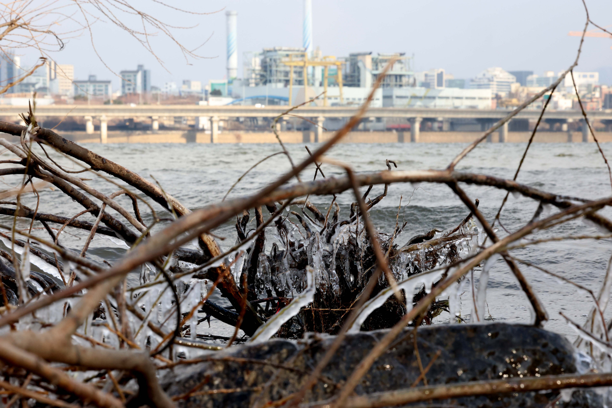 ▲수도권에 한파주의보가 내려진 22일 서울 여의도 한강공원에 고드름이 얼어 있다. 신태현 기자 holjjak@