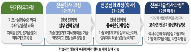▲마이스터대 교육과정 (교육부)