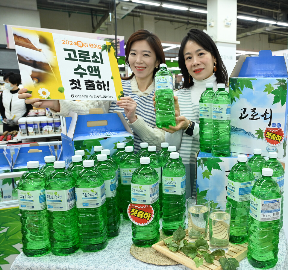 ▲ 서울 서초구 농협유통 하나로마트 양재점에서 모델들이 지리산 피아골에서 올해 처음 채취한 고로쇠 수액을 소개하고 있다. (사진제공=농협유통)