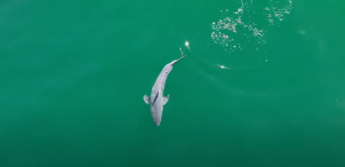 ▲(출처=유튜브 ‘TheMalibuArtist’ 캡처)