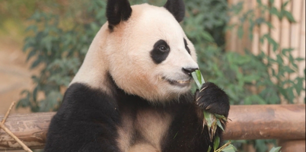 ▲'전참시'(사진제공=MBC)