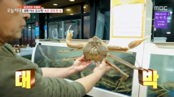 ▲김대호 아나운서 속초 대게 맛집 방문(사진=MBC 방송화면 캡처)