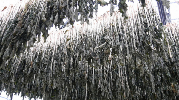 ▲'극한직업'(사진제공=EBS1)