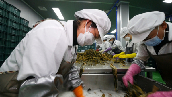 ▲'극한직업'(사진제공=EBS1)