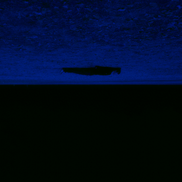 ▲키조 (사진 = KIXO(키조) SNS 제공)