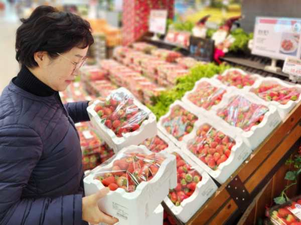▲고객이 롯데마트 안산점 과일 매장에서 '한입 꼬마 딸기' 상품을 구매하고 있다. (사진제공=롯데쇼핑)