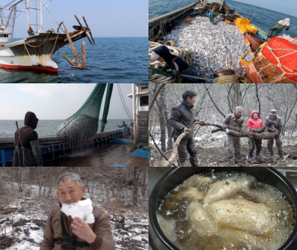 ▲'극한직업'(사진제공=EBS1)