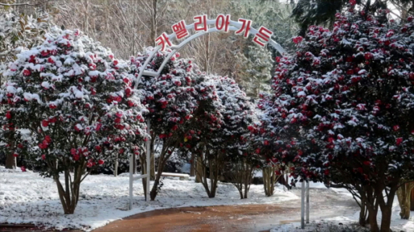 ▲'동네 한 바퀴' 신안 (사진제공=KBS 1TV)