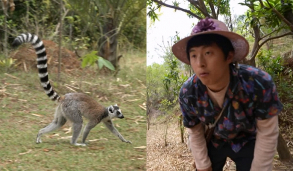 ▲'태계일주 시즌3' 긴꼬리여우원숭이(사진제공=MBC)