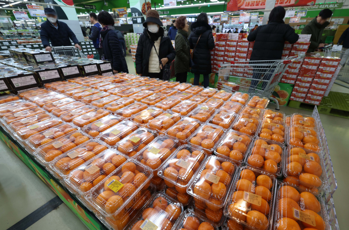 ▲생산자물가가 지난달 0.5% 올라 2개월 연속 오름세를 지속했다. 시장에서 가장 저렴한 과일 중 하나였던 감귤의 경우 한 달 새 몸값이 1.5배로 치솟았다. 21일 한국은행에 따르면 지난 1월 생산자물가지수는 한 달 전보다 0.5% 상승한 121.80(2015년=100)으로 잠정 집계됐다. 지난해 12월(0.1%)에 이은 두 달 연속 상승이다. 전년 동월 대비로는 1.3% 올라 6개월 연속 상승 행진을 이어갔다. 특히 감귤이 한 달 전에 비해 48.8% 급등하면서 생산자물가를 끌어올렸다. 사과도 전월에 비해 7.5% 올랐다. 이날 서울의 한 대형마트에 감귤이 진열돼 있다. 신태현 기자 holjjak@