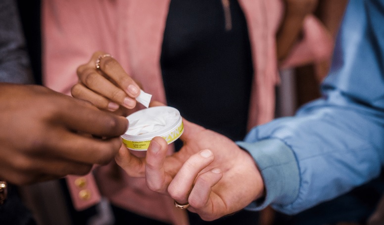 ▲출처 Zyn 홈페이지