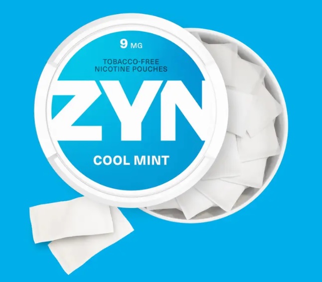 ▲출처 Zyn 홈페이지