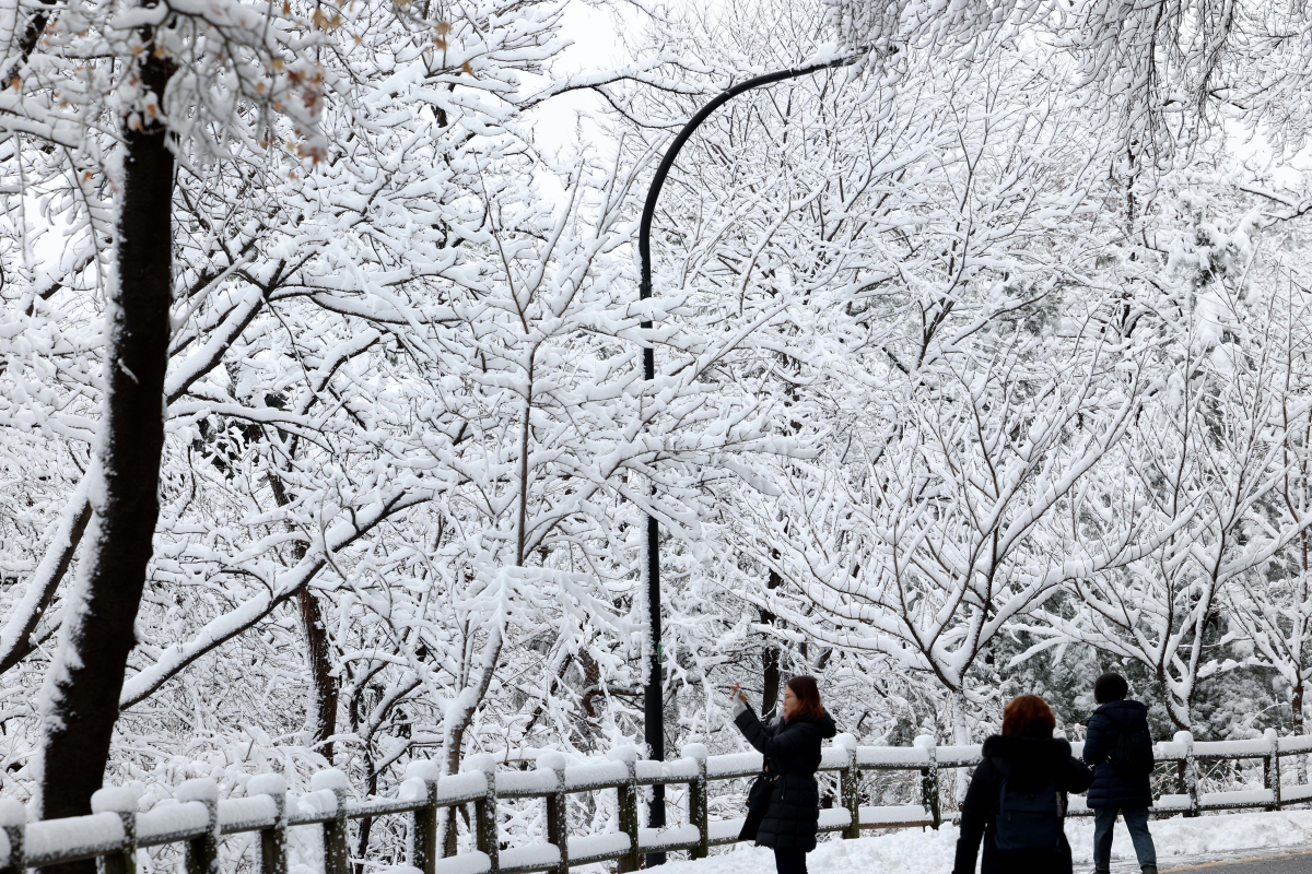 ▲전날 밤 중부지방을 중심으로 폭설이 내린 22일 서울 남산 산책로에서 시민들이 하얗게 쌓인 눈을 바라보며  발걸음을 옮기고 있다. 신태현 기자 holjjak@