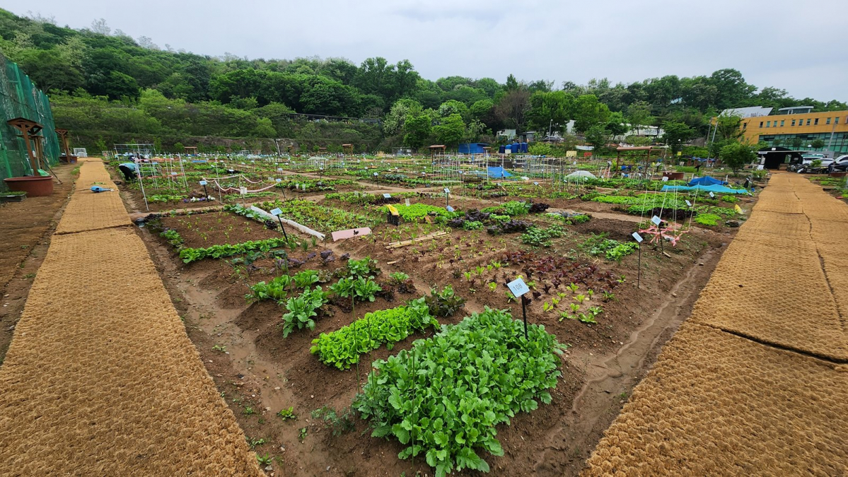 ▲관악구 강감찬텃밭 전경. 사진제공-관악구