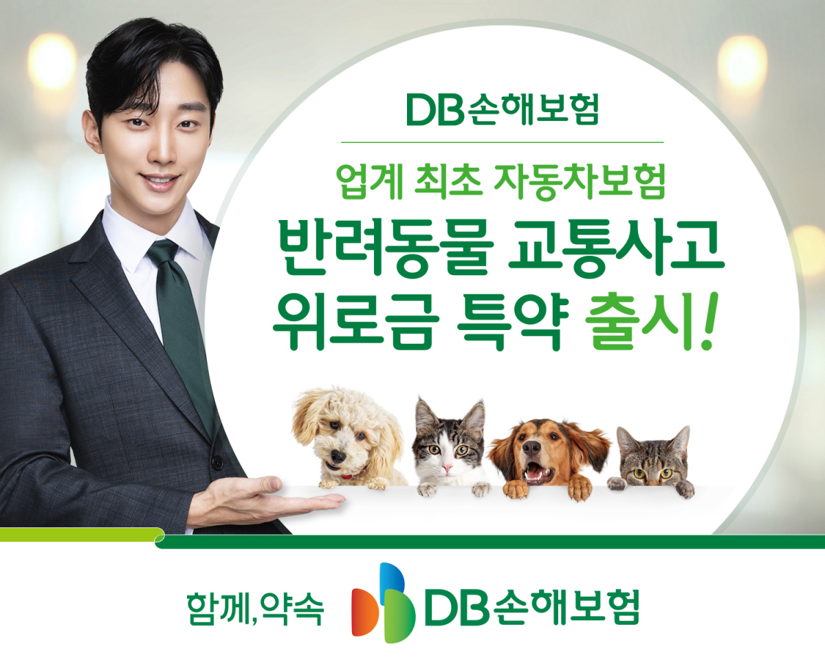 (DB손해보험)