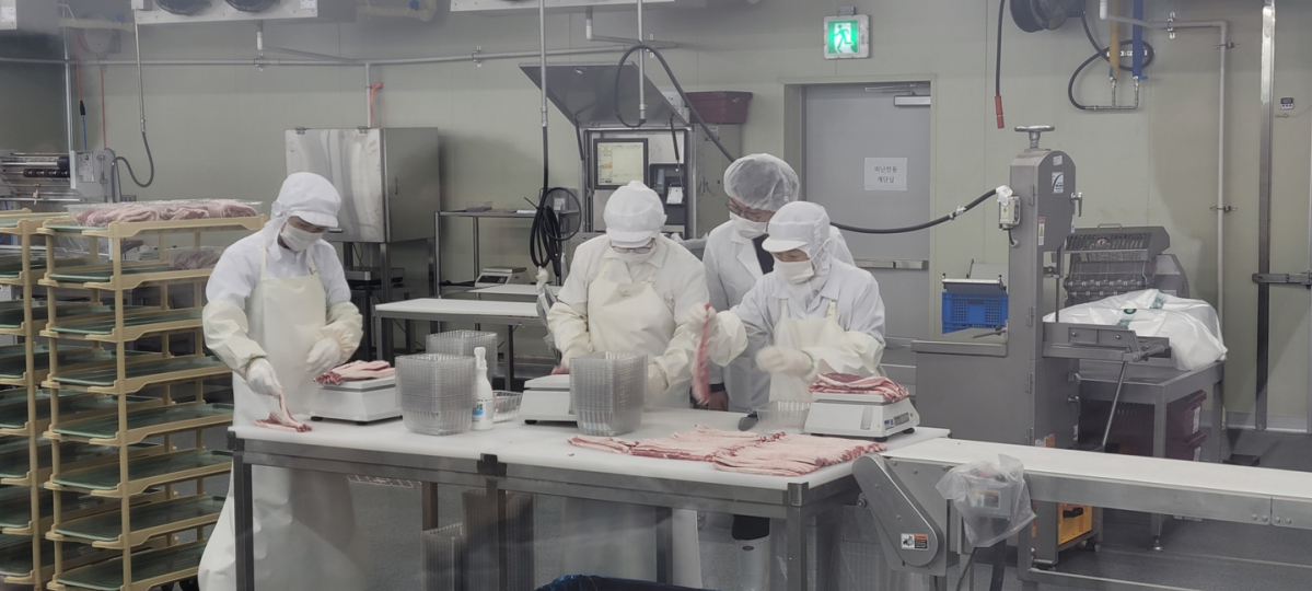 ▲대전충남양돈농협의 포크빌 공판장에서 작업자들이 삼겹살 정선 작업(지방을 제거하는 작업 작업)과 포장을 하고 있다. (천안=이해곤 기자)