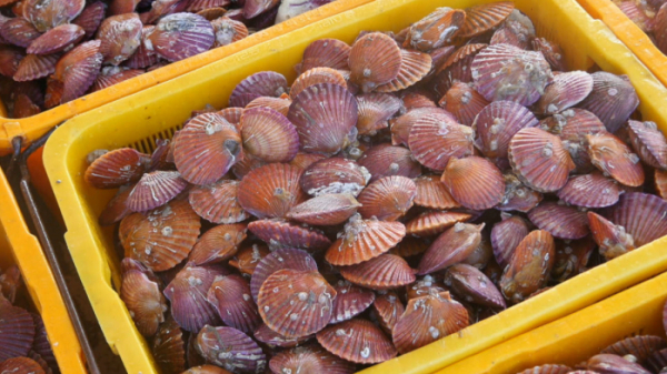 ▲'극한직업' (사진제공=EBS1)