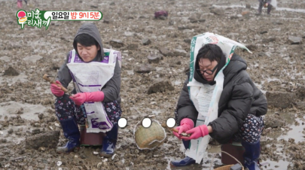 ▲'미우새' 김승수, 이상민 서산 간월도 바닷가 갯벌 굴 따기(사진제공=SBS)