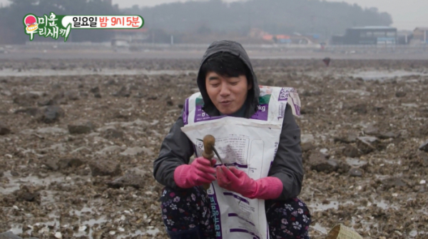 ▲'미우새' 김승수, 이상민 서산 간월도 바닷가 갯벌 굴 따기(사진제공=SBS)