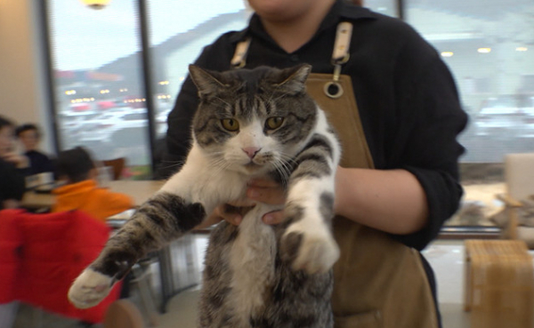 ▲'TV동물농장'(사진제공=SBS)