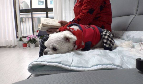 ▲'TV동물농장'(사진제공=SBS)